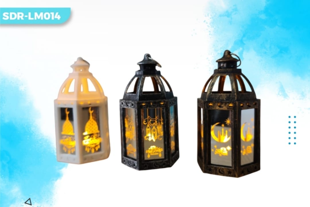 RAMAZAN FANUS LM014 *